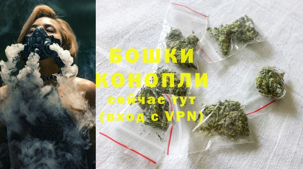 стаф Богородск