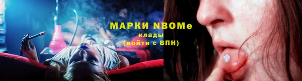 прущий лед Богданович