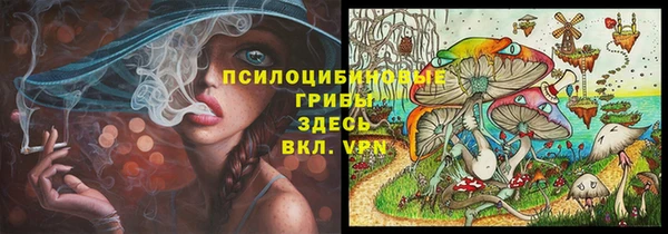 прущий лед Богданович