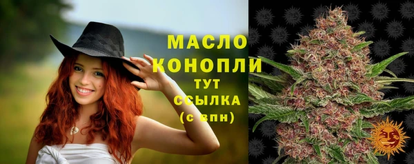прущий лед Богданович