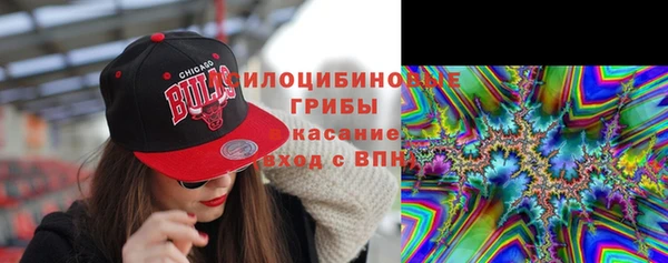 прущий лед Богданович