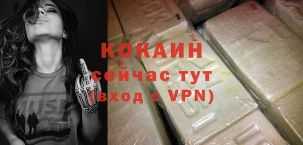 прущий лед Богданович