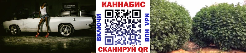 Каннабис планчик Краснозаводск